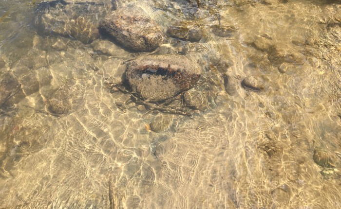 Rosemary for Ophelia